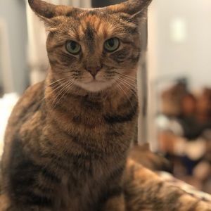 Meet your Posher, Dave